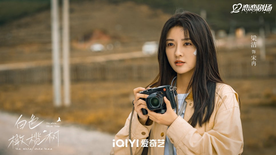 백색감람수(白色橄榄树) 리뷰