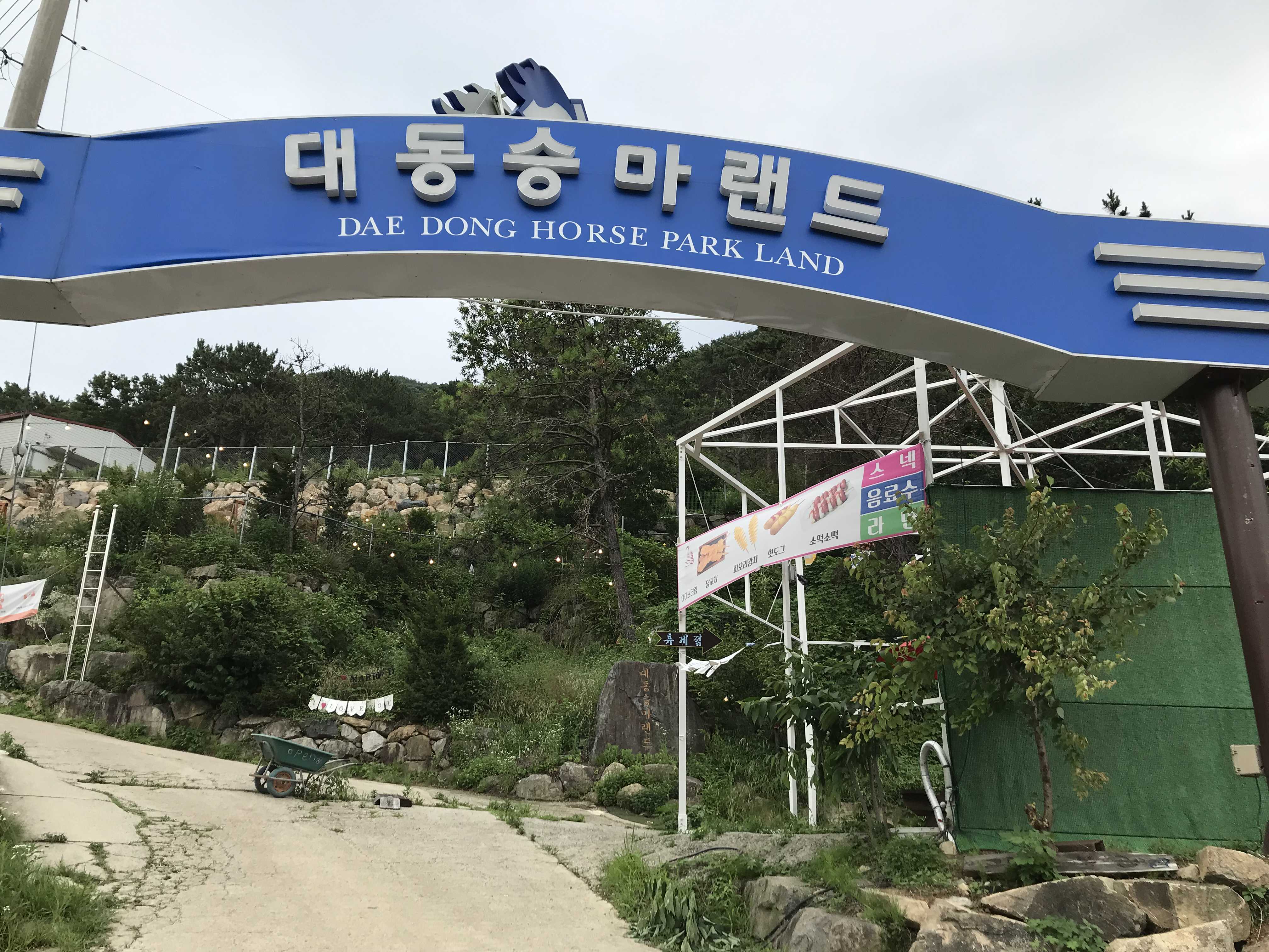  [김해시 대동면] 말도 보고, 양도 보고, 커피도 먹을 수 있는 대동승마랜드
