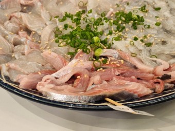 졸복회