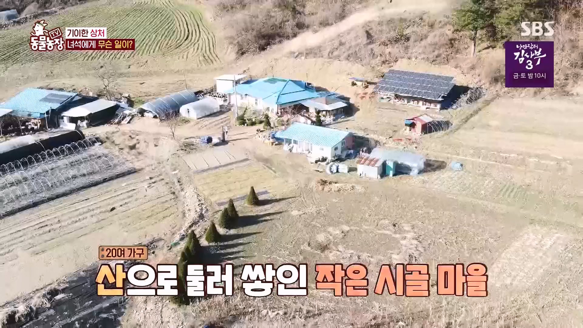 TV 동물농장.E1118.230430p.H264-F1RST.mp4_20230430_172358.551.jpg