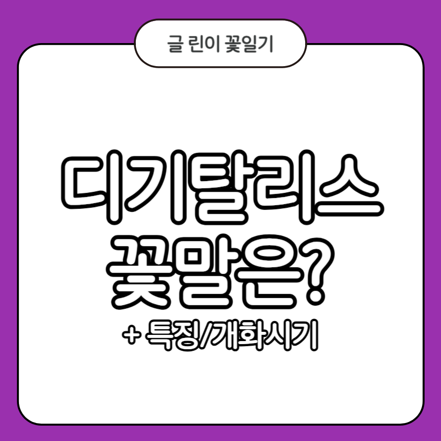 디기탈리스 꽃말