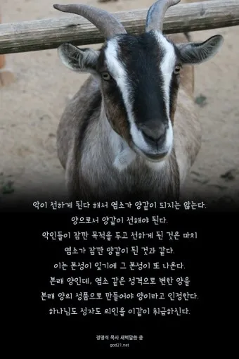 마가복음 15장 예수님의 헌신_12