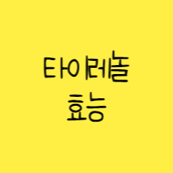  타이레놀 효능