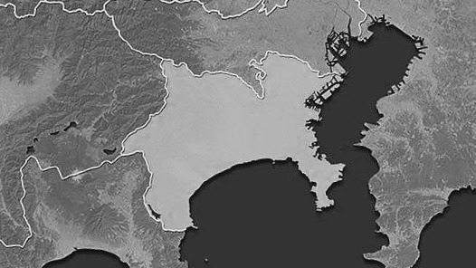 신종 코로나 바이러스 일본에서 첫 사망자 발생 카나가와의 80대 여성 사망 감염자 사망 일본내 최초