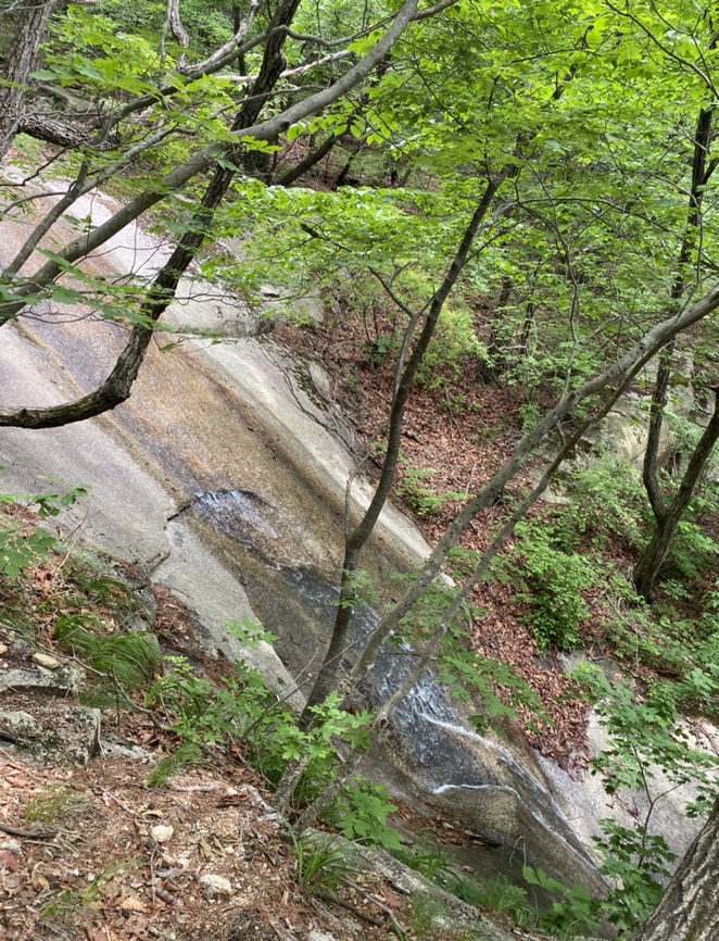 여름산으로 추천하는 괴산 칠보산(778m) 숲속을 거니는 듯 시원해 36