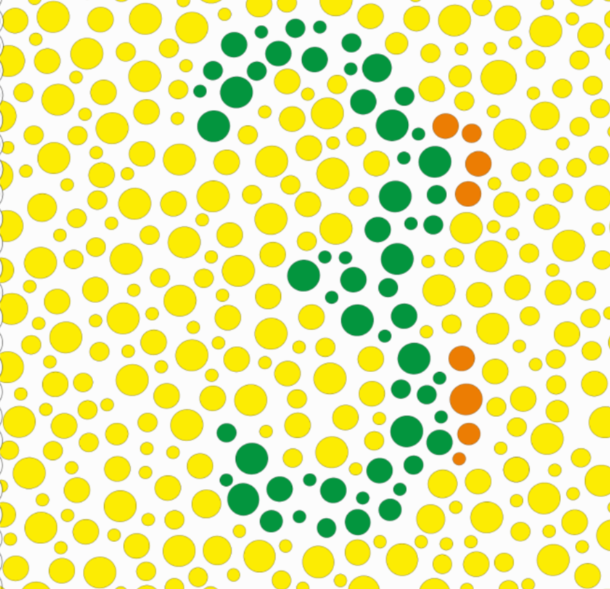 색맹 테스트, 정확할까? – 온라인 색맹 검사와 실제 진단의 차이