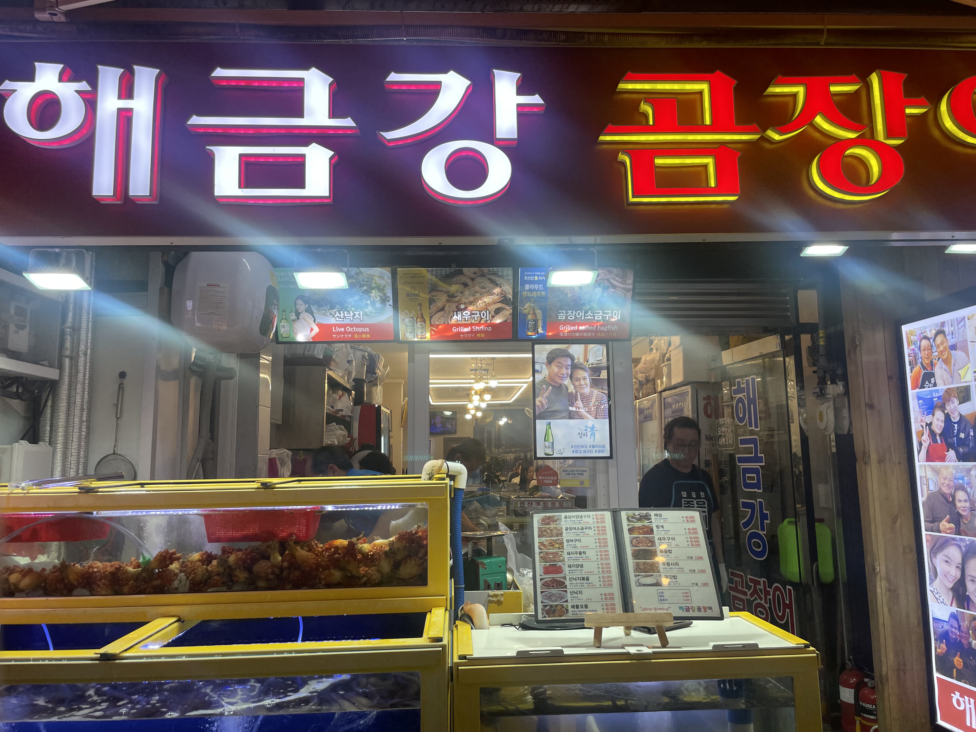 해금강곰장어 사진 2