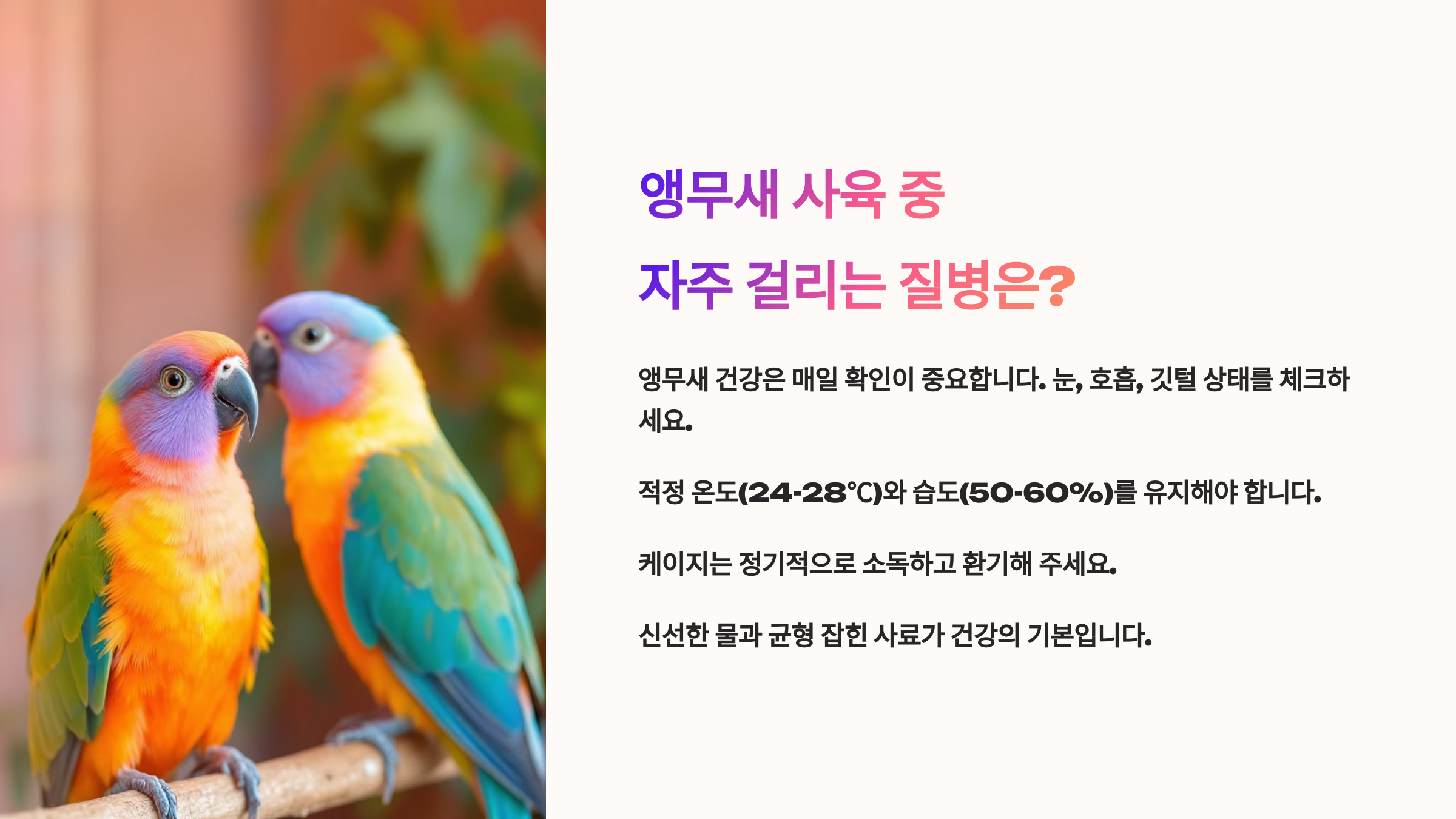 앵무새 사육 중 자주 걸리는 질병은?