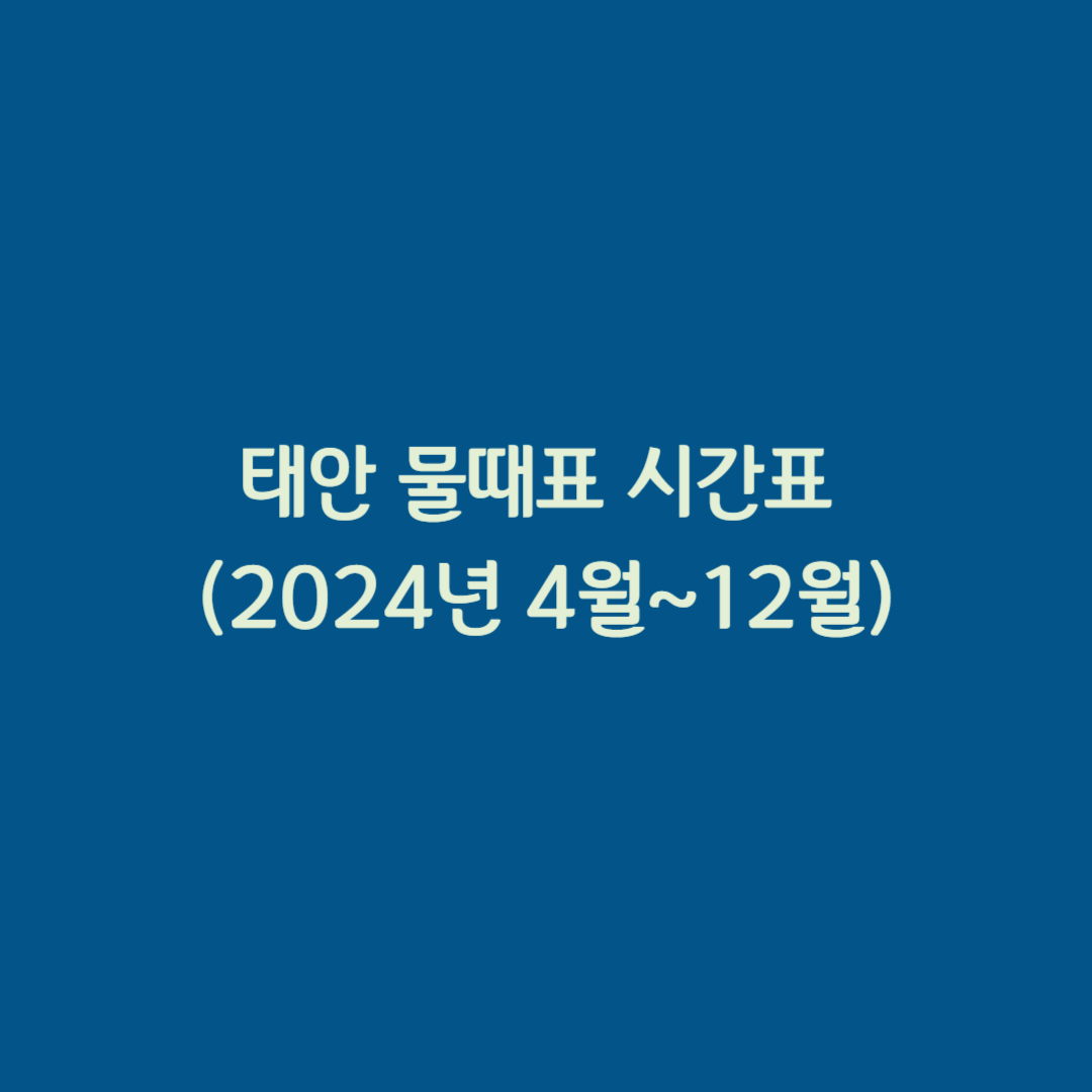 태안 물때표 시간표 (2024..4-12)