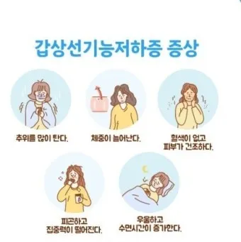 갑상샘 저하증 갑상선 기능저하증 증상 수치 치료_5
