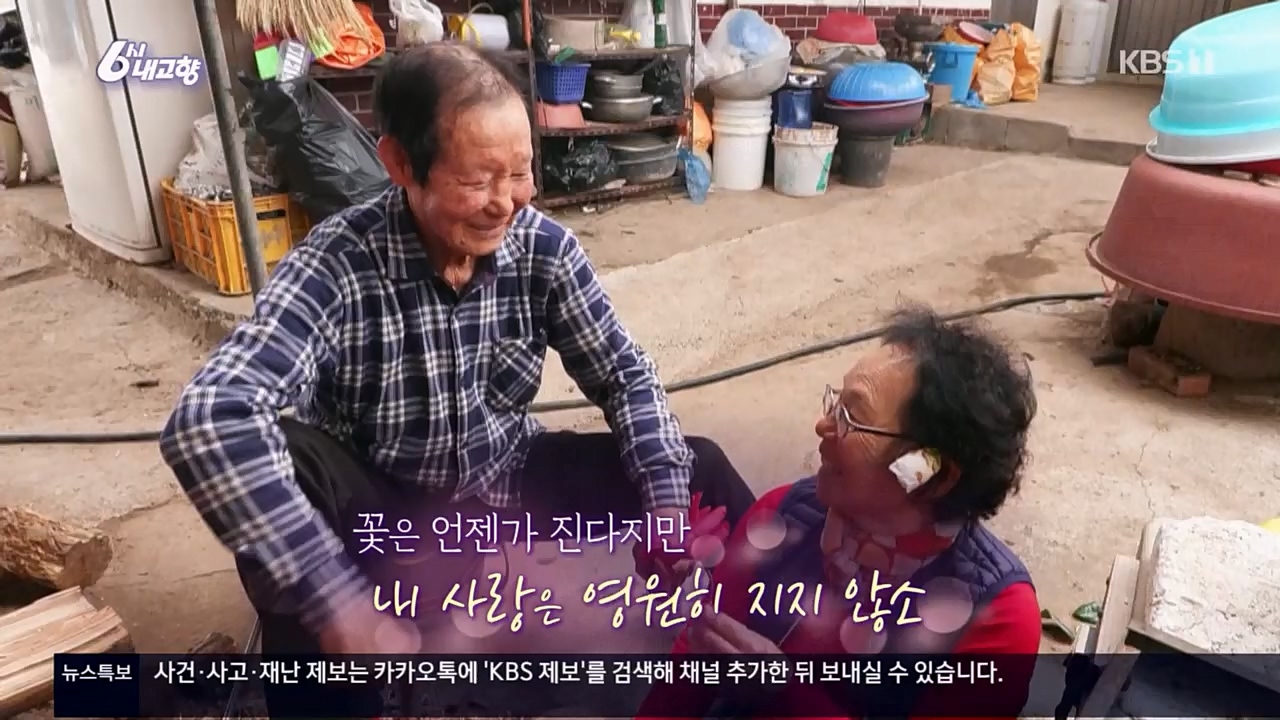 6시 내고향.E7756.230331p.H264-F1RST.mp4_20230331_212230.007.jpg