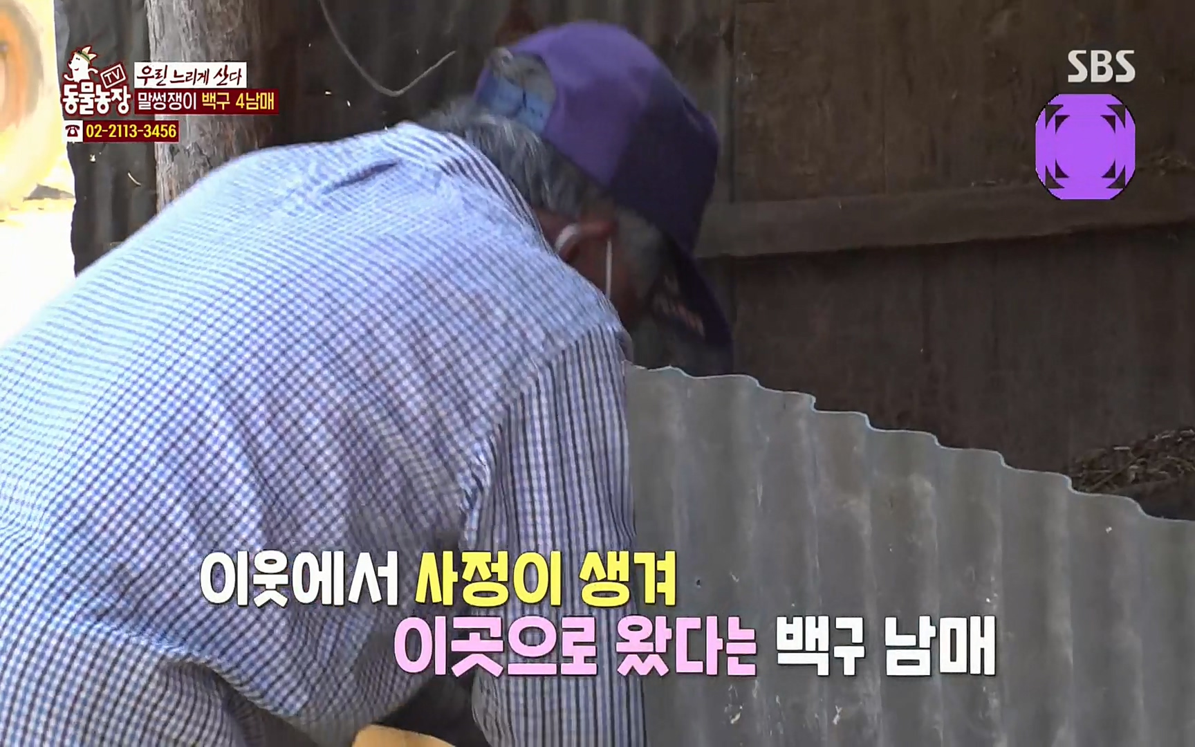 TV 동물농장.E1067.220501p.H264-F1RST.mp4_20220501_183938.066.jpg