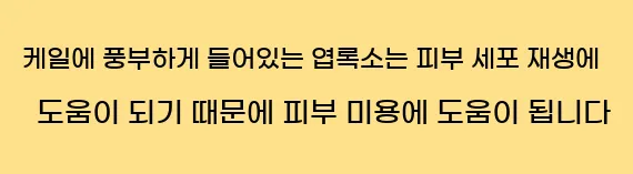  케일에 풍부하게 들어있는 엽록소는 피부 세포 재생에 도움이 되기 때문에 피부 미용에 도움이 됩니다