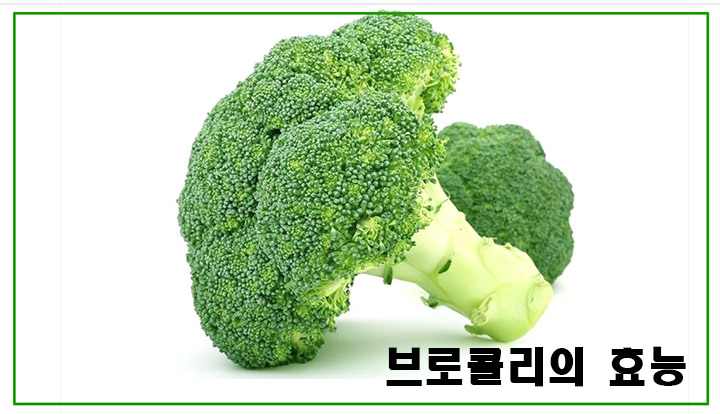 브로콜리