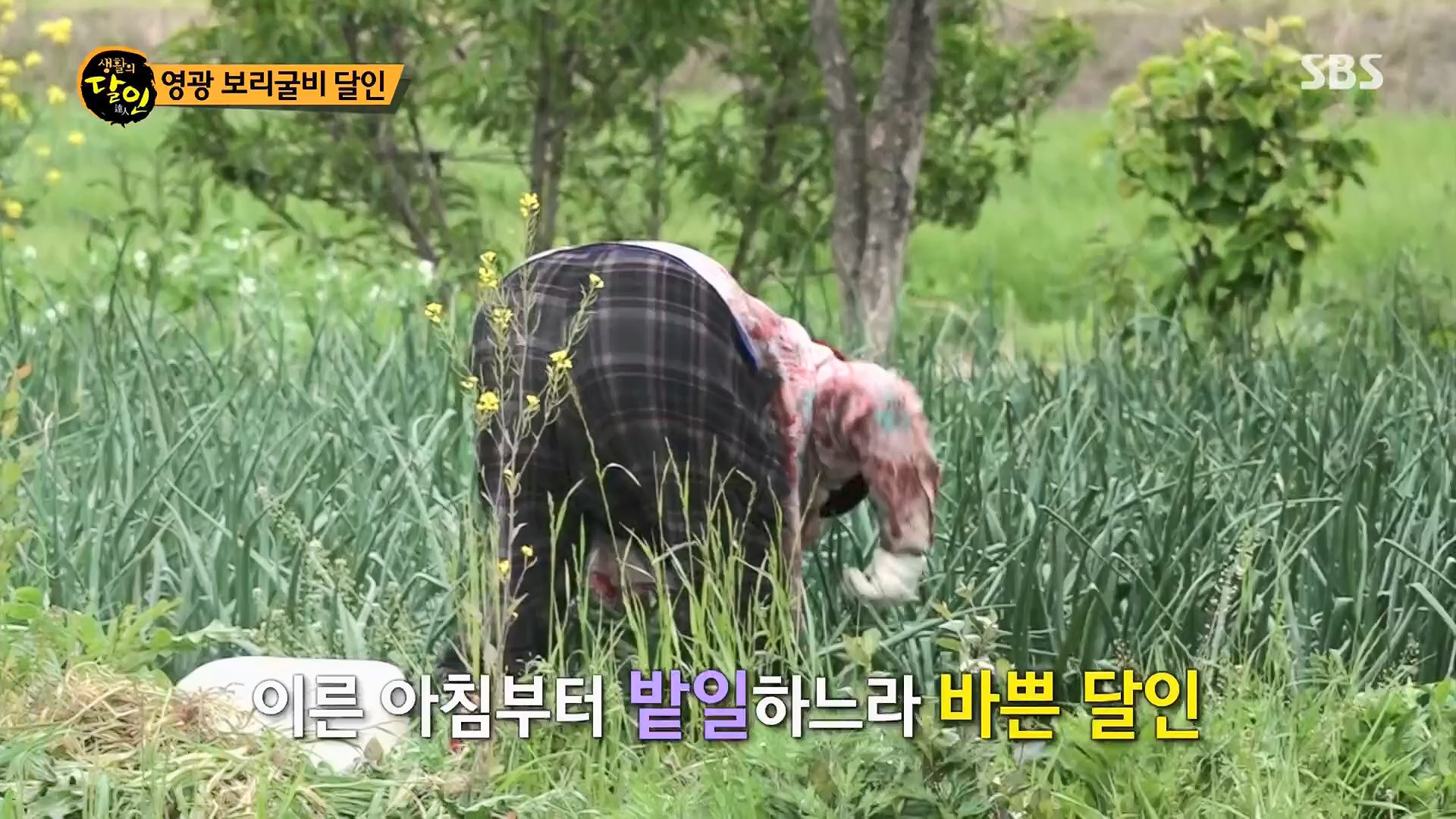 생활의 달인.E887.230508p.H264-F1RST.mp4_20230509_202140.567.jpg