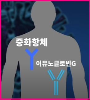  백신 접종 후 증상 없으면 항체가 생성 안되는 걸까?
