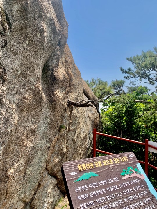 용봉산-등산코스