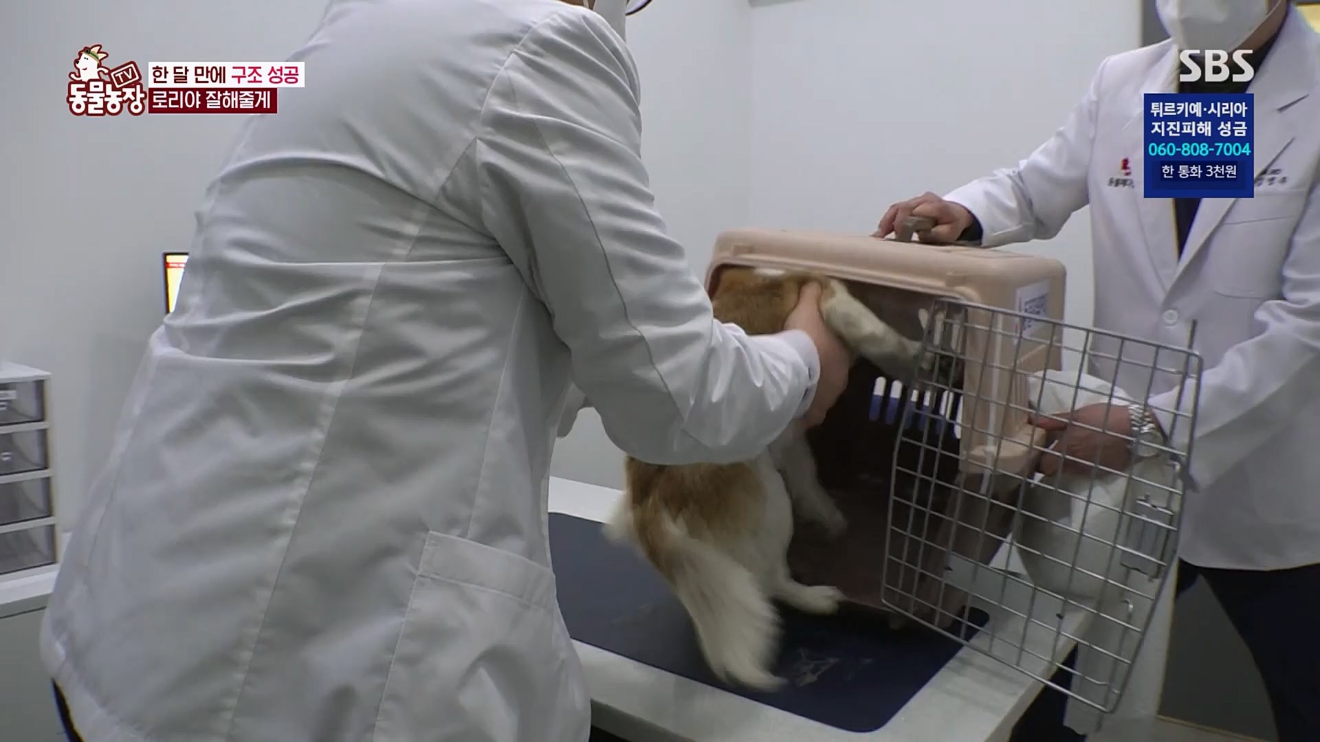 TV 동물농장.E1109.230219p.H264-F1RST.mp4_20230219_142854.834.jpg