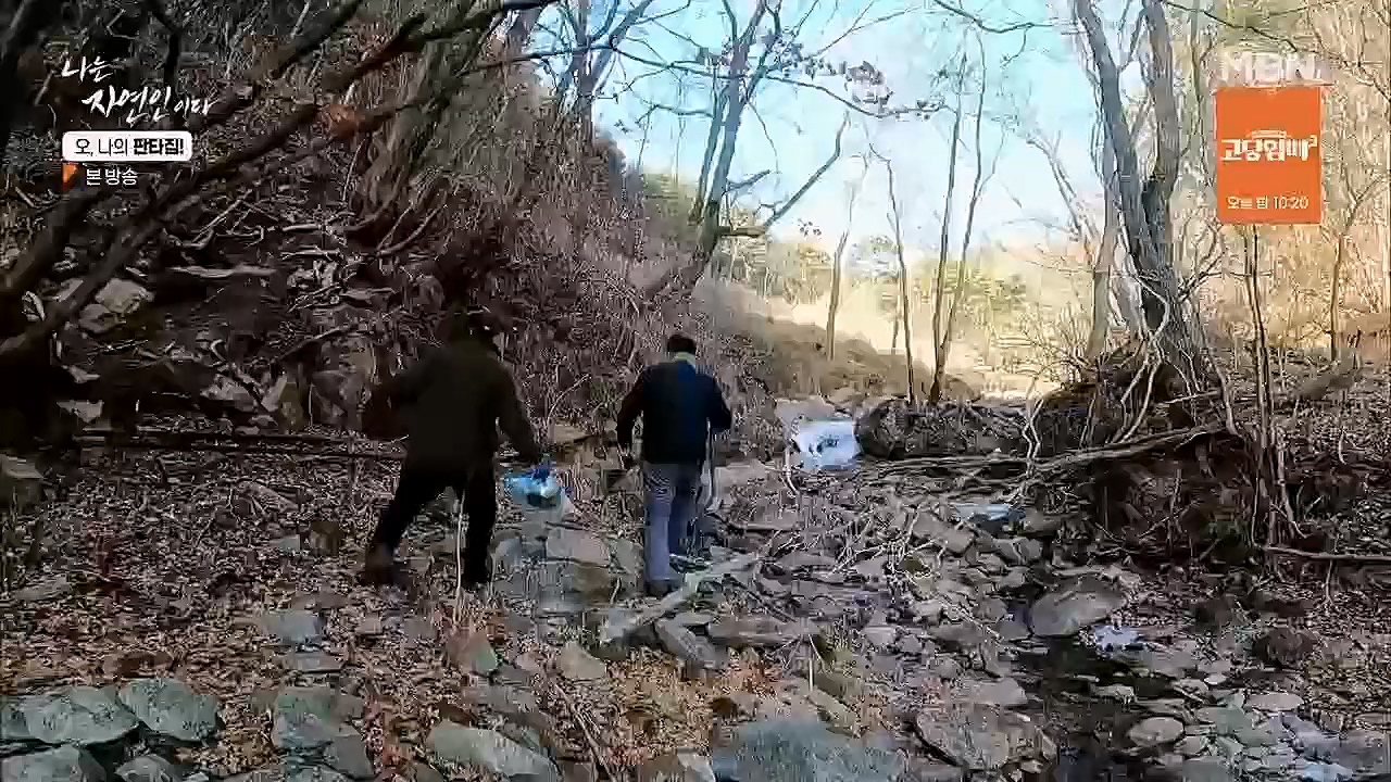 나는 자연인이다.E546.230323p.H264-F1RST.mp4_20230323_201539.167.jpg