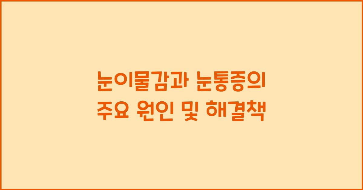 눈이물감과 눈통증의 주요 원인