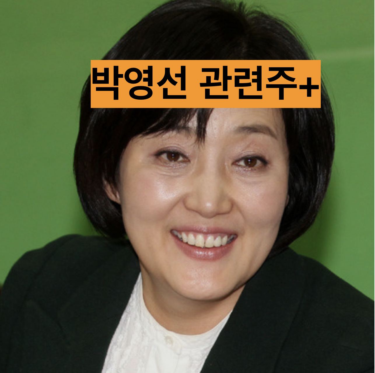  박영선 관련주+