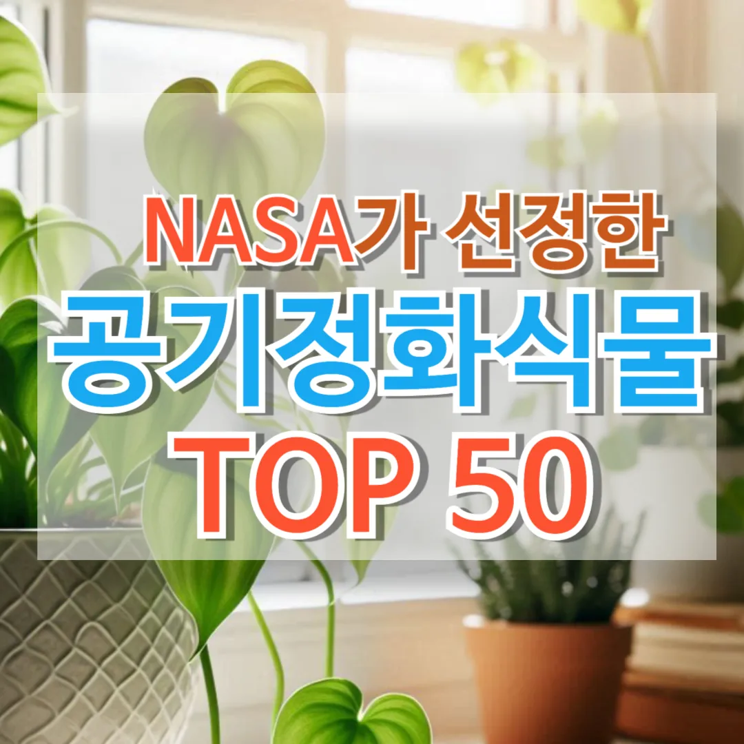 공기 정화 식물 : NASA가 선정한 Top 50 리스트