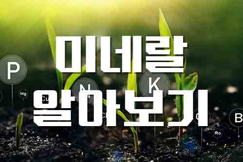  미네랄, 몸에 이롭고 필수적인 미네랄의 중요성