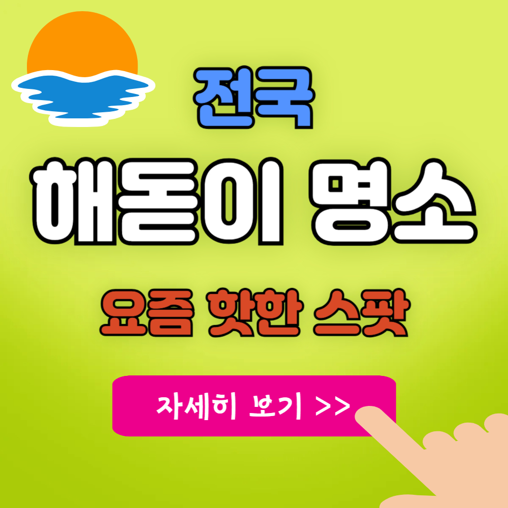 요즘 핫한 지역별 해돋이 명소 소개(서울/부산/강릉/제주도)