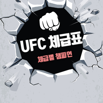  UFC 체급표 그리고 체급별 챔피언은?