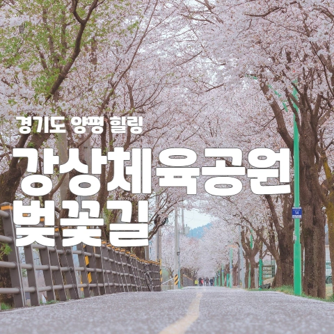  경기도 양평 힐링 "강상체육공원 벚꽃길"