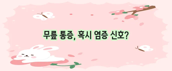 무릎 관절염증 증상, 그냥 지나치지 마세요!