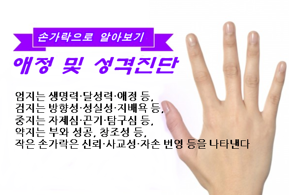  손가락 길이로 알수있는 애정과 성격