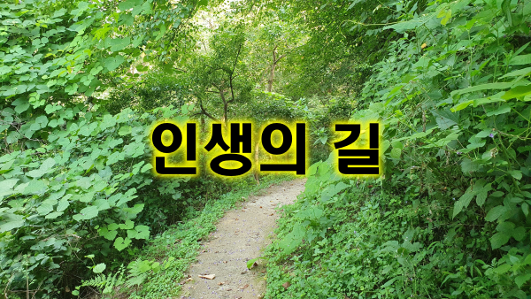 인생의 길&#44; 충고&#44; 리더의 역할