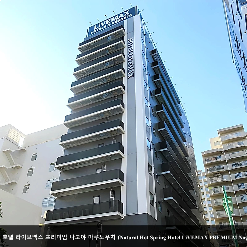 내추럴 핫 스프링 호텔 라이브맥스 프리미엄 나고야 마루노우치 (Natural Hot Spring Hotel LiVEMAX PREMIUM Nagoya Marunouchi)_1