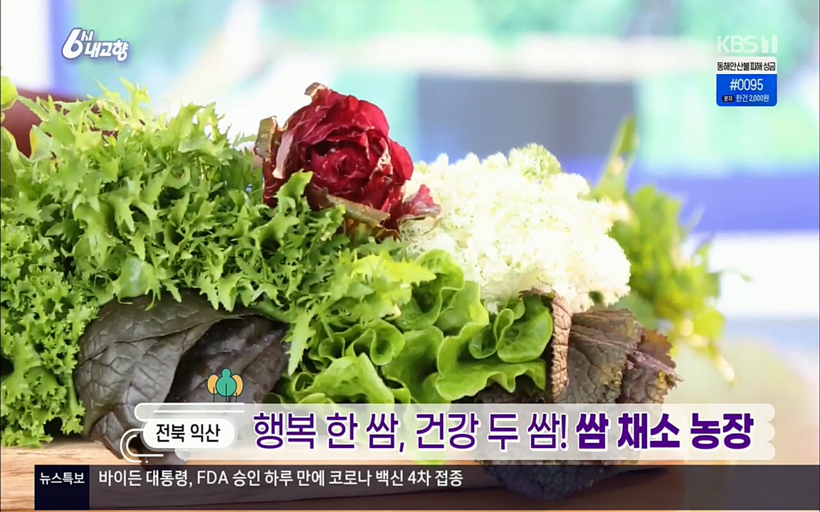 6시 내고향.E7501.220332p.H264-F1RST.mp4_20220402_193540.409.jpg