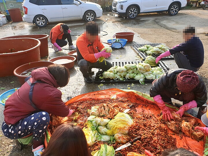 절인배추와김장김치속