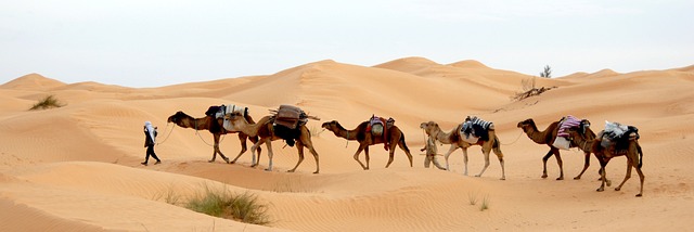 튀니지-사막-사진