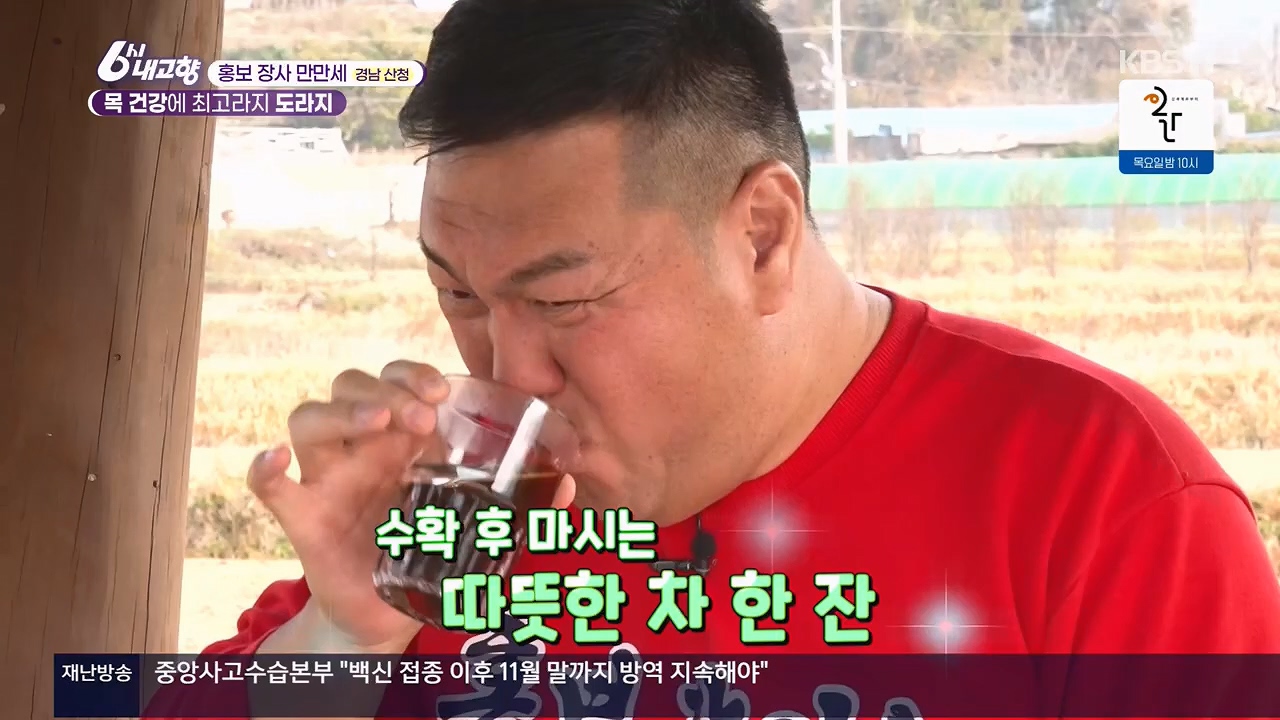 6시 내고향.E7922.231129p.H264-F1RST.mp4_20231129_203826.981.jpg