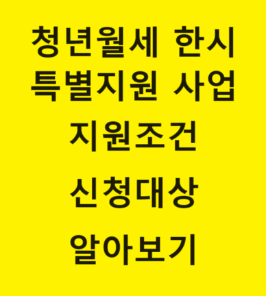  2024 2차 청년월세 한시 특별지원 신청 청년월세 지원 조건 청년월세 지원대상
