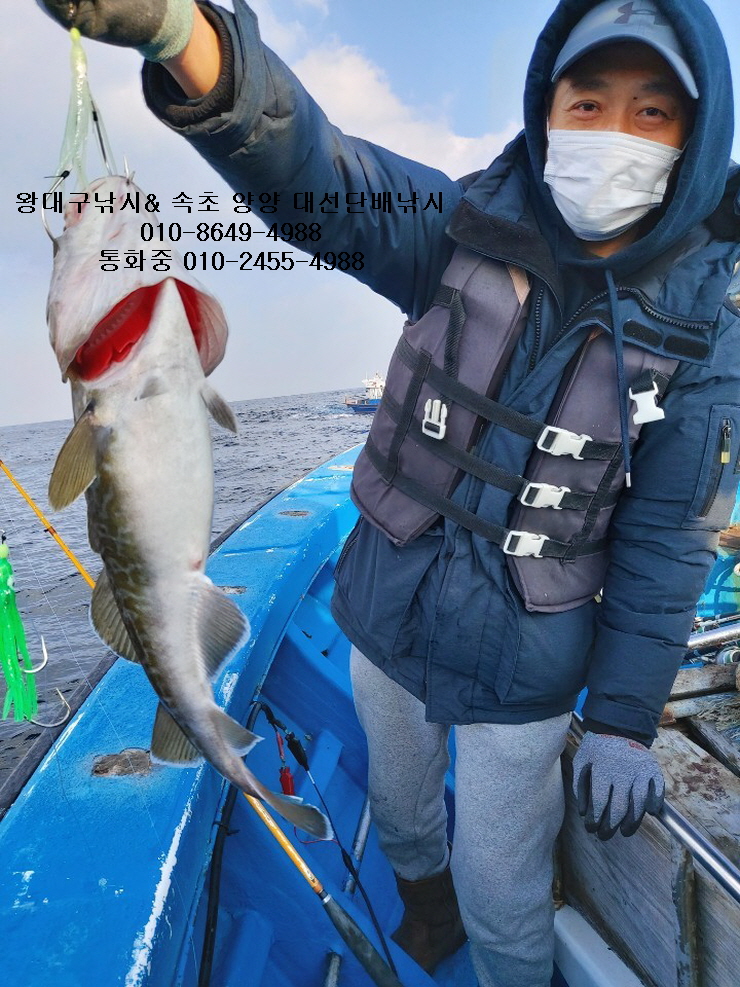 img.jpg