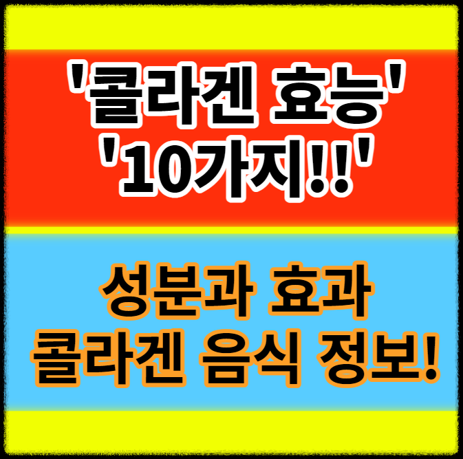  콜라겐 효능 10가지 성분 콜라겐이 많은 음식 정보