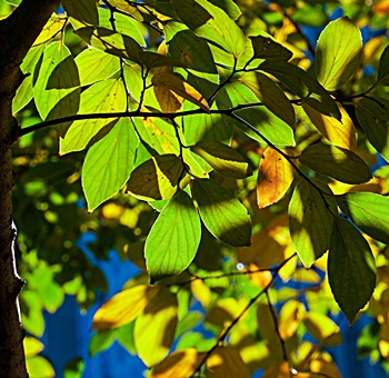 패배터리-산업-전망-관련주-폐배터리-재활용