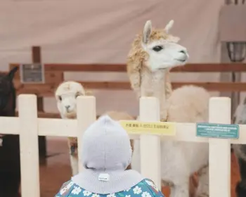 홍천강 꽁꽁 축제_21