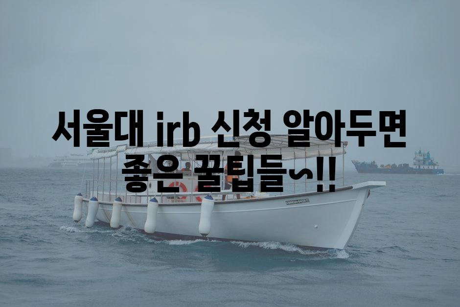 IRB 2
