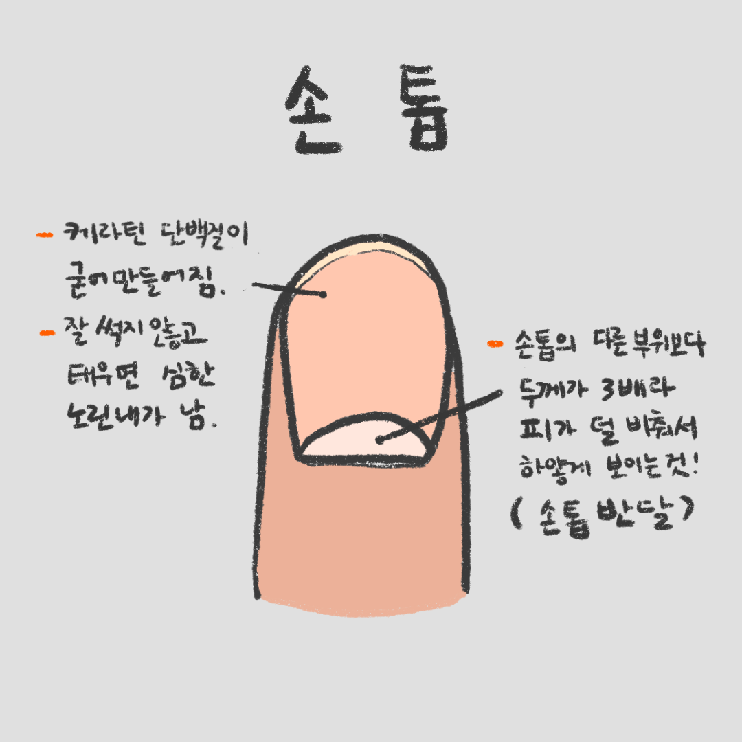  손톱 모양과 건강