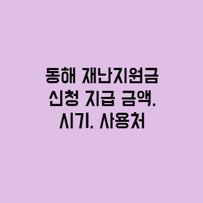  동해 재난지원금 신청 지급 금액, 시기, 사용처