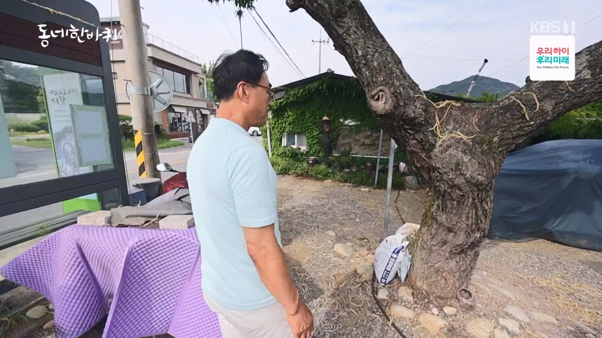 동네 한 바퀴.E282.240713p-NEXT.mp4_20240714_162935.953.jpg