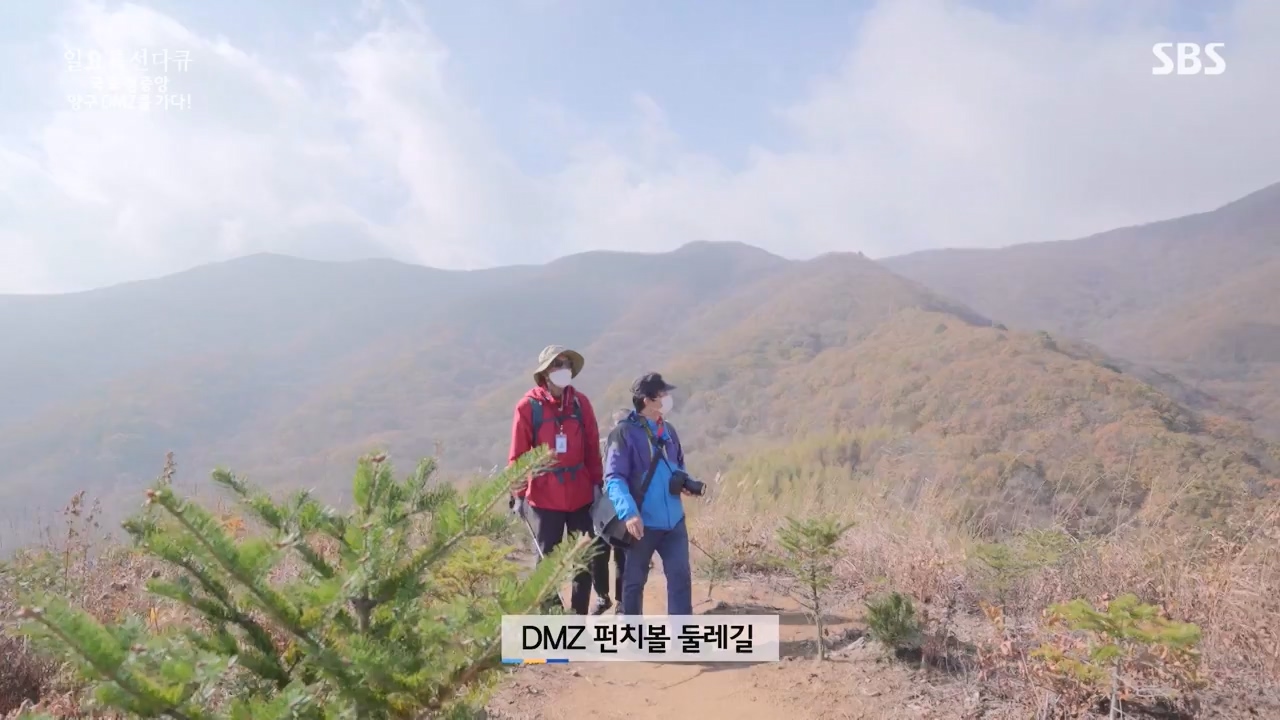 일요특선 다큐멘터리.E344.231204p-NEXT.mp4_20231206_194839.184.jpg