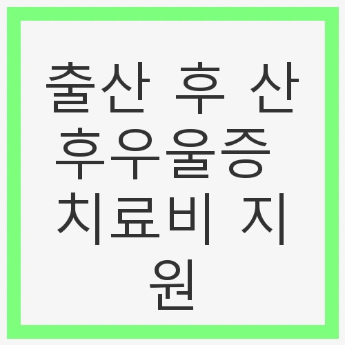 출산 후 산후우울증 치료비 지원