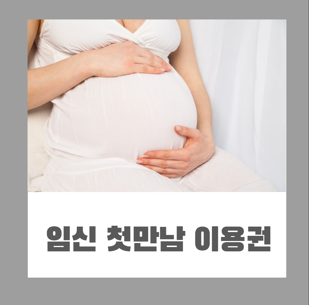 임신 첫만남 이용권 이미지